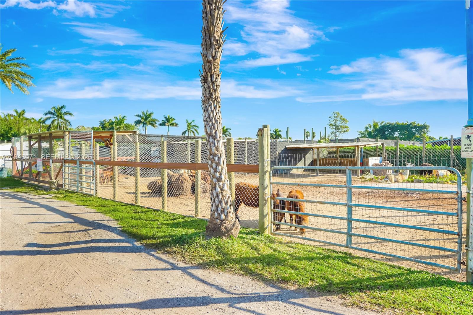 Ver detalles / sq. ft. $ 2026-01-19 0 foto