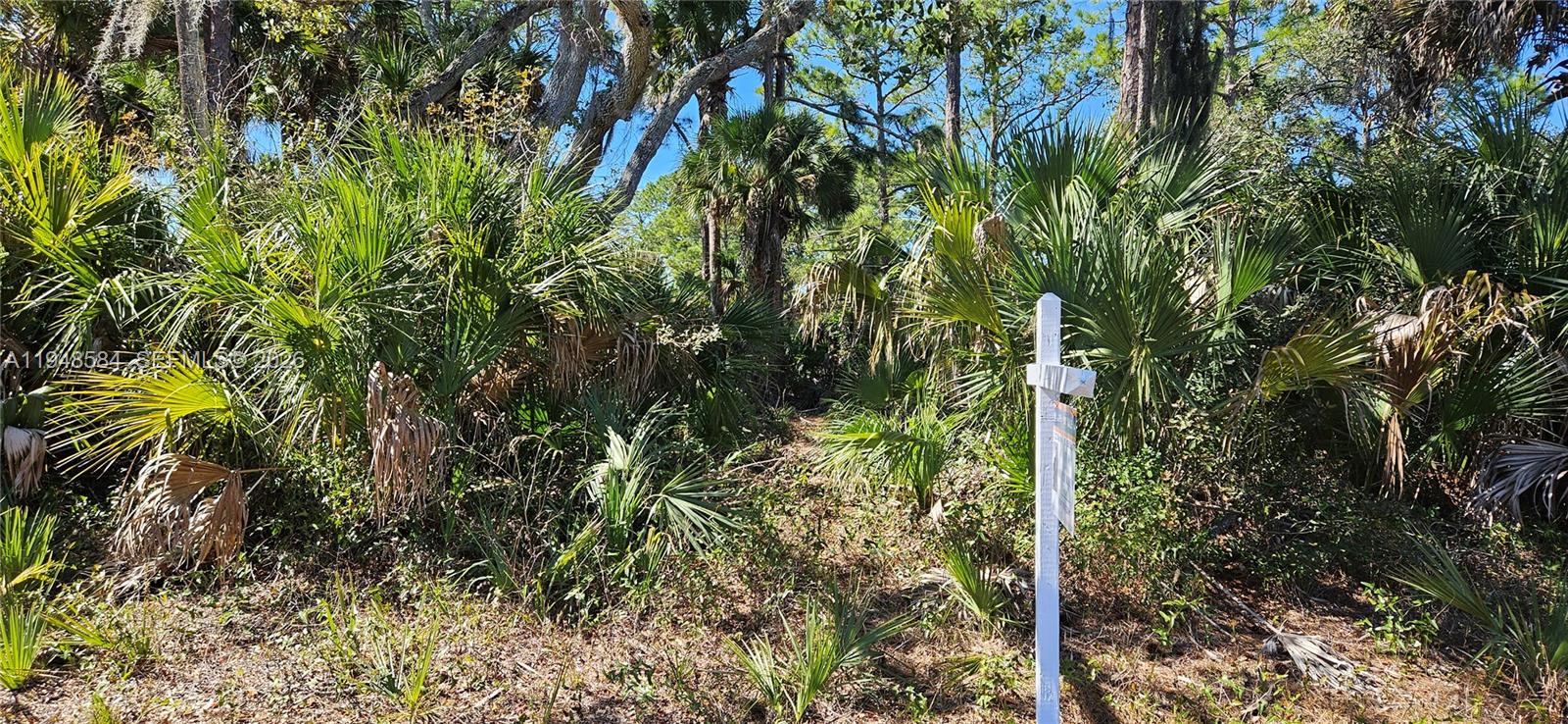 Ver detalles / sq. ft. $ 2026-01-19 0 foto