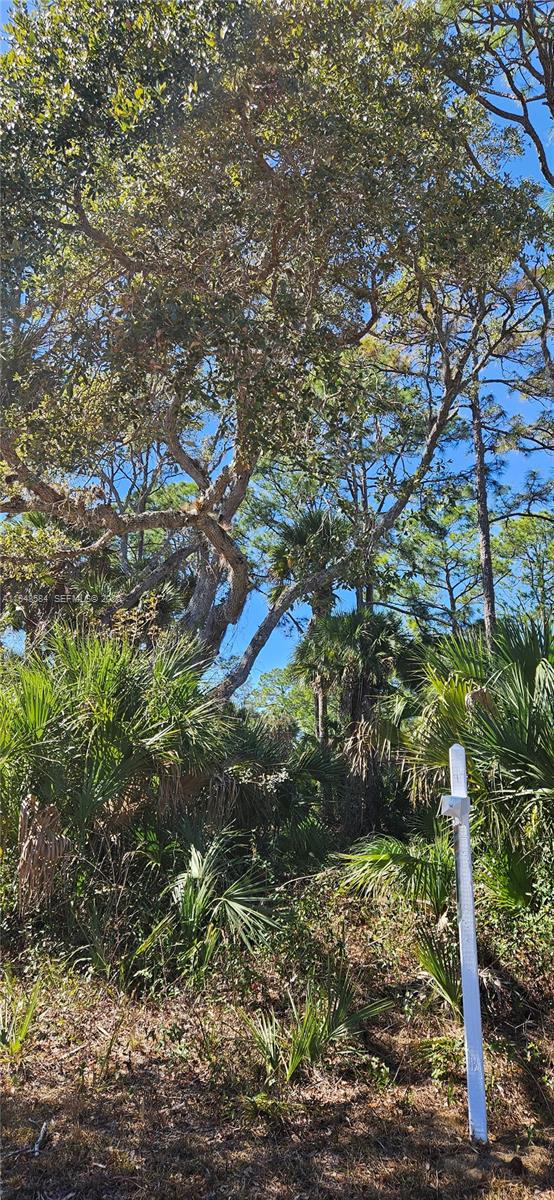 Ver detalles / sq. ft. $ 2026-01-19 0 foto