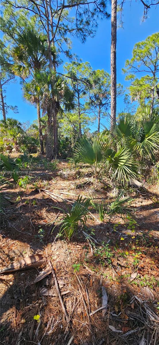 Ver detalles / sq. ft. $ 2026-01-19 0 foto