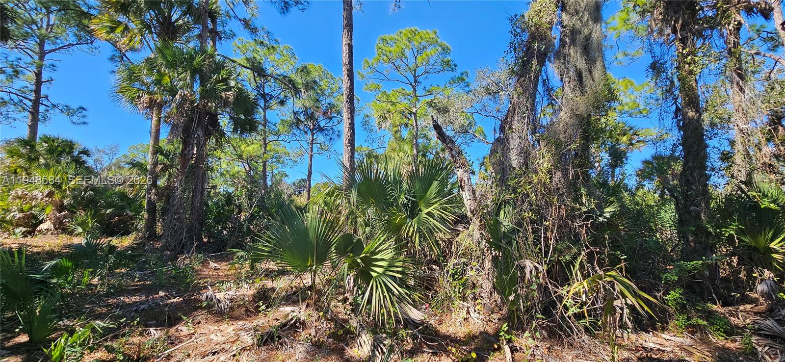 Ver detalles / sq. ft. $ 2026-01-19 0 foto