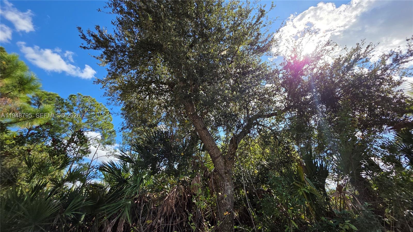 Ver detalles / sq. ft. $ 2026-02-16 0 foto