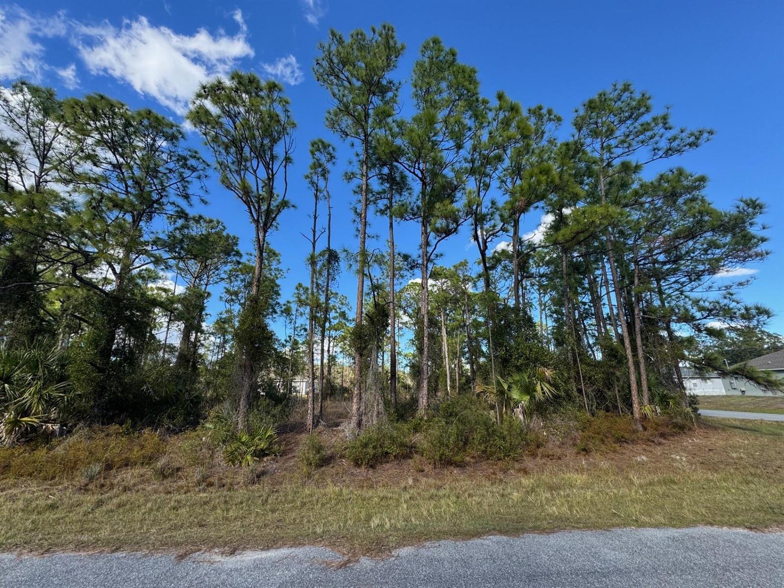 See details / 0 sq. ft. $ 2026-05-12 0 Photo