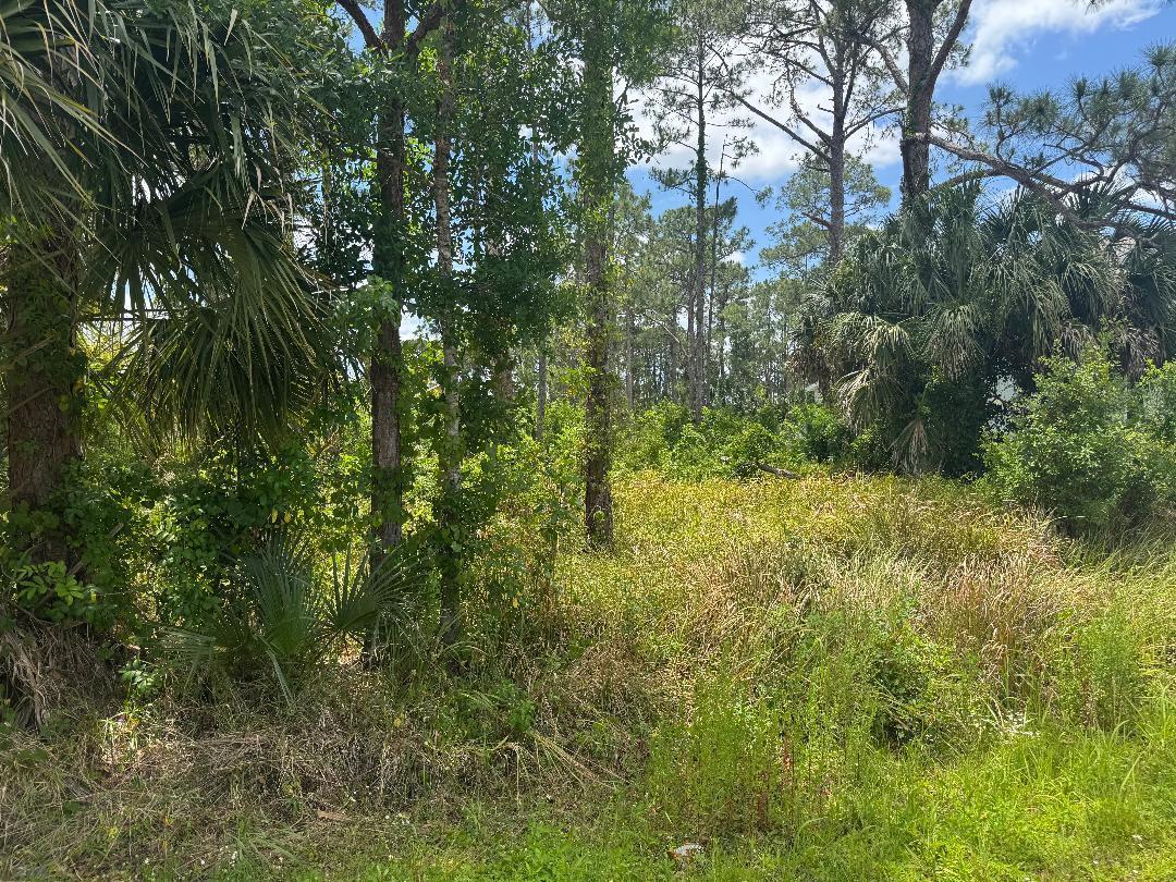   / 0  sq. ft. $ 2026-06-15 0 foto
