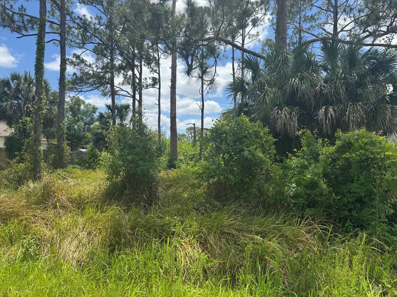   / 0  sq. ft. $ 2026-06-15 0 foto