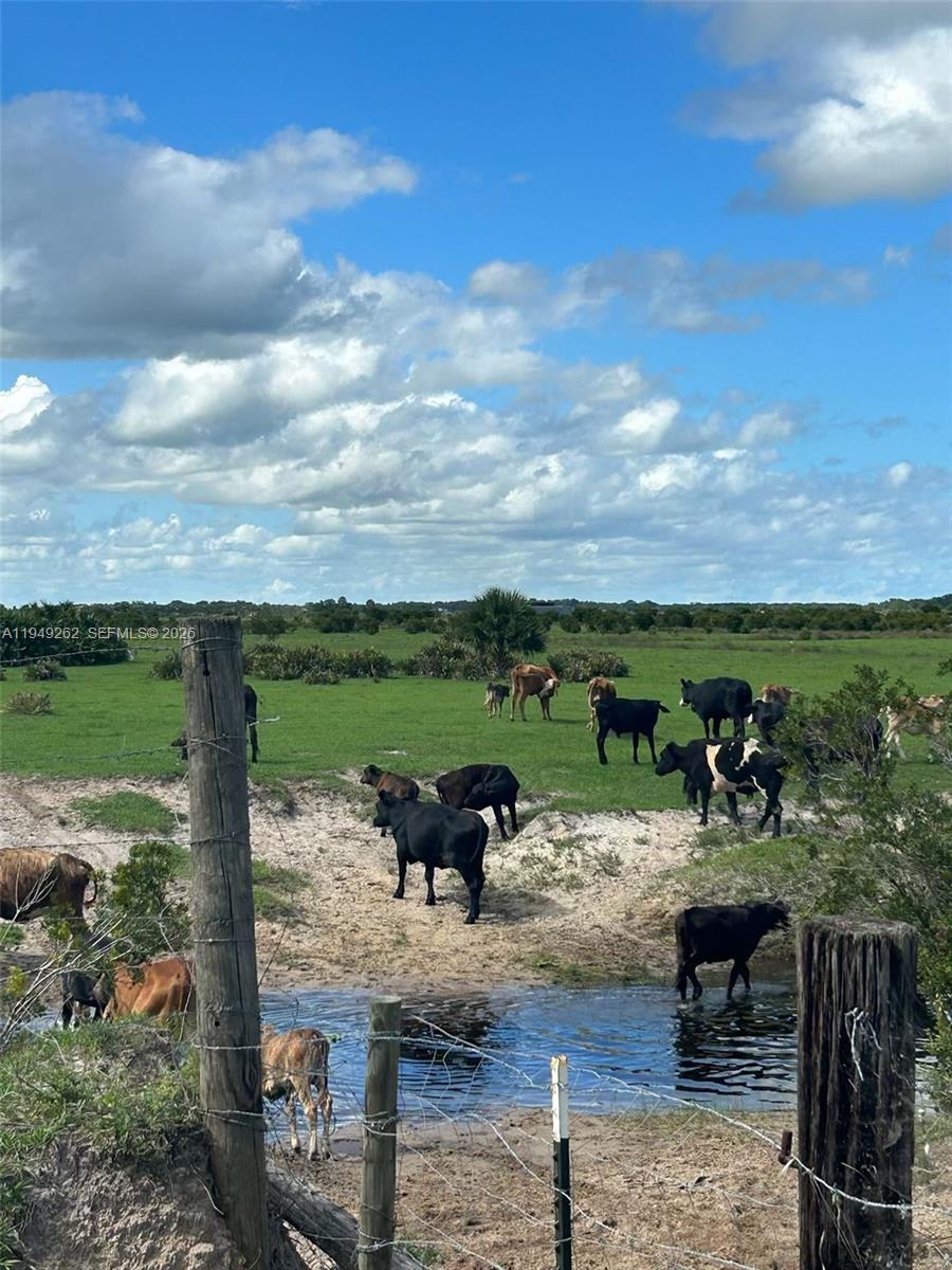 Ver detalles / sq. ft. $ 2026-01-20 0 foto