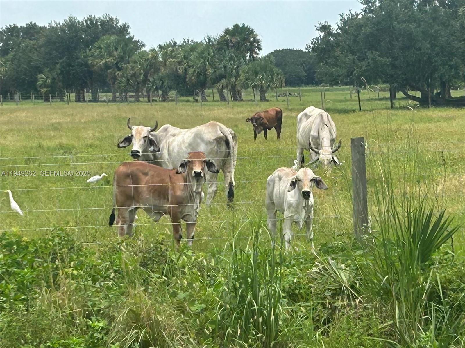 Ver detalles / sq. ft. $ 2026-01-20 0 foto