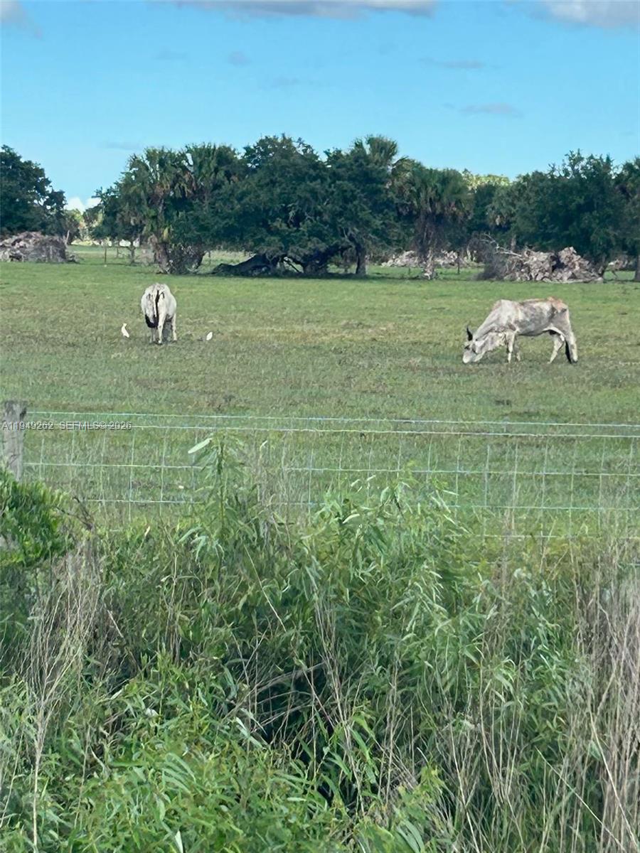 Ver detalles / sq. ft. $ 2026-01-20 0 foto