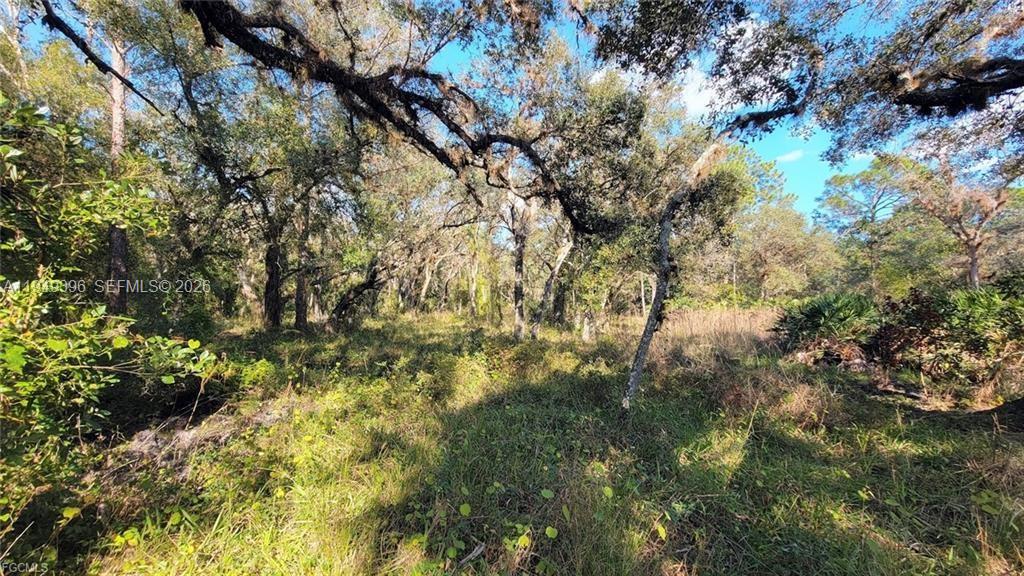   /   sq. ft. $ 2026-01-21 0 Photo