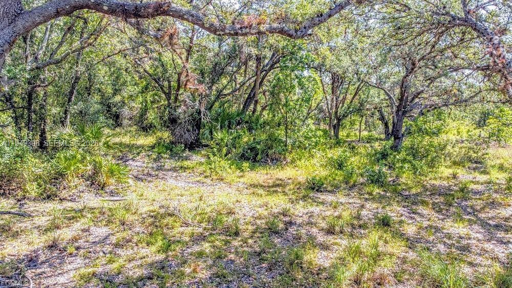   /   sq. ft. $ 2026-01-21 0 Photo