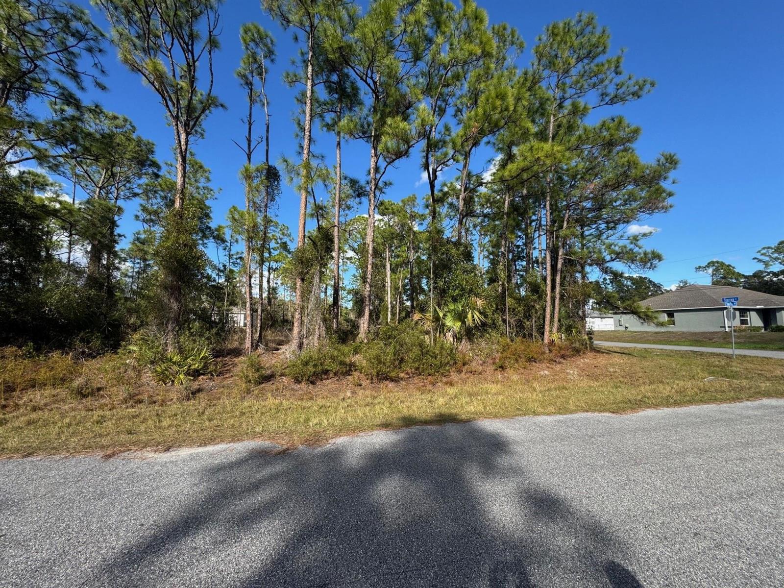 See details / 0 sq. ft. $ 2026-05-12 0 Photo