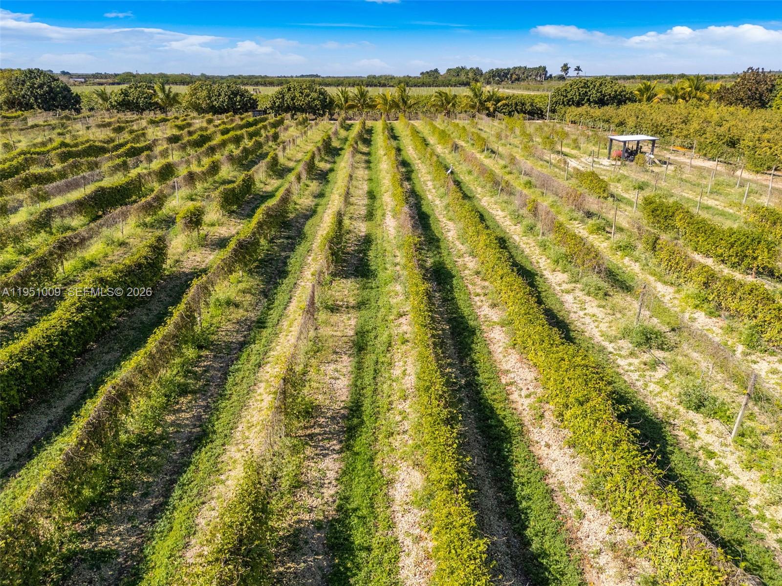 Ver detalles / sq. ft. $ 2026-01-22 0 foto