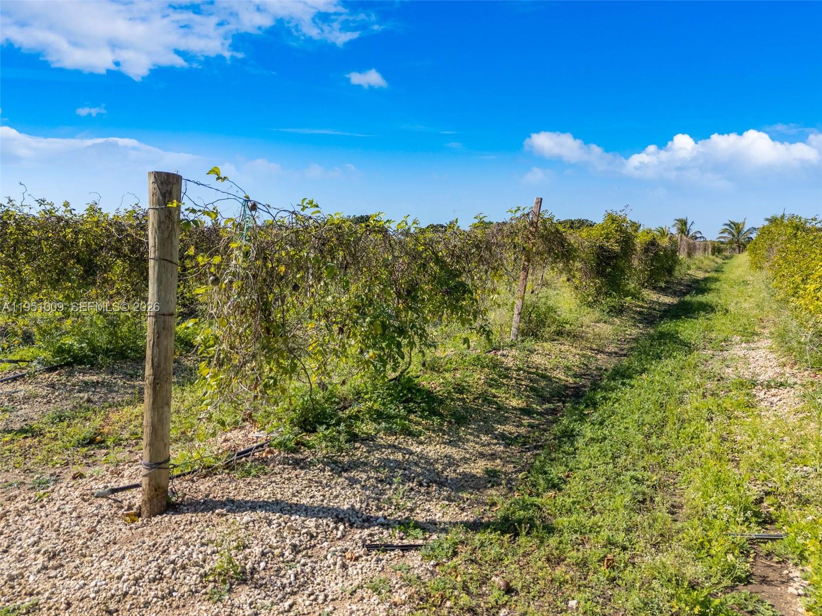 Ver detalles / sq. ft. $ 2026-01-22 0 foto