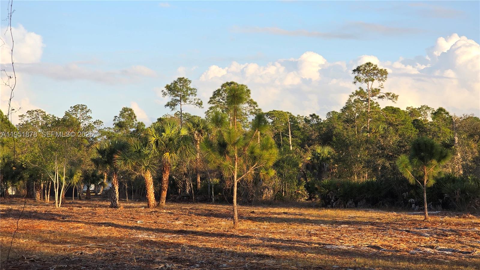   /   sq. ft. $ 2026-01-23 0 Photo