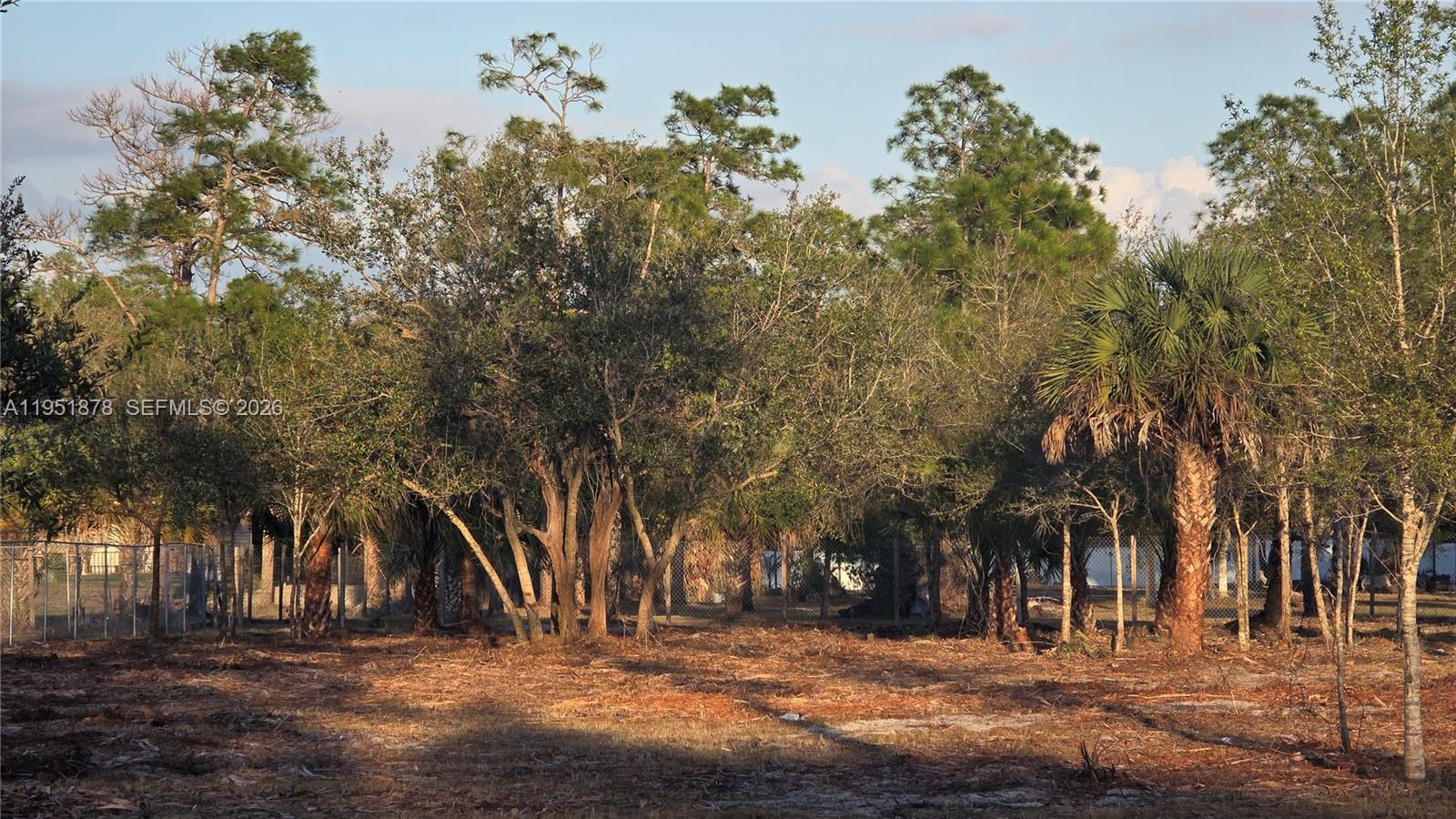   /   sq. ft. $ 2026-01-23 0 Photo