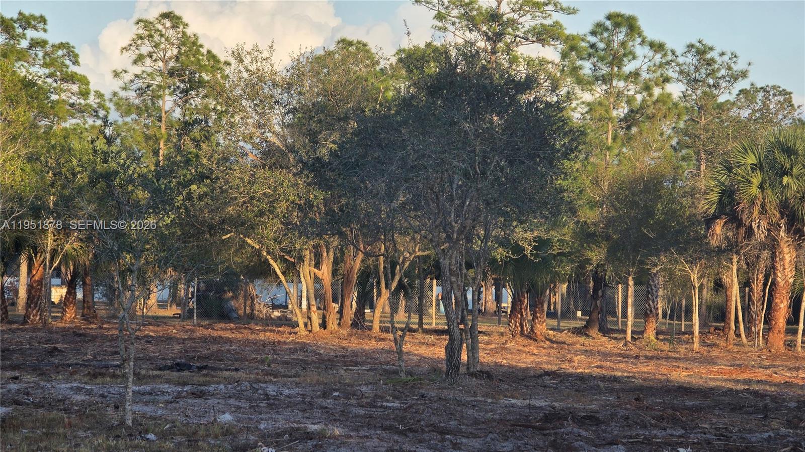   /   sq. ft. $ 2026-01-23 0 Photo