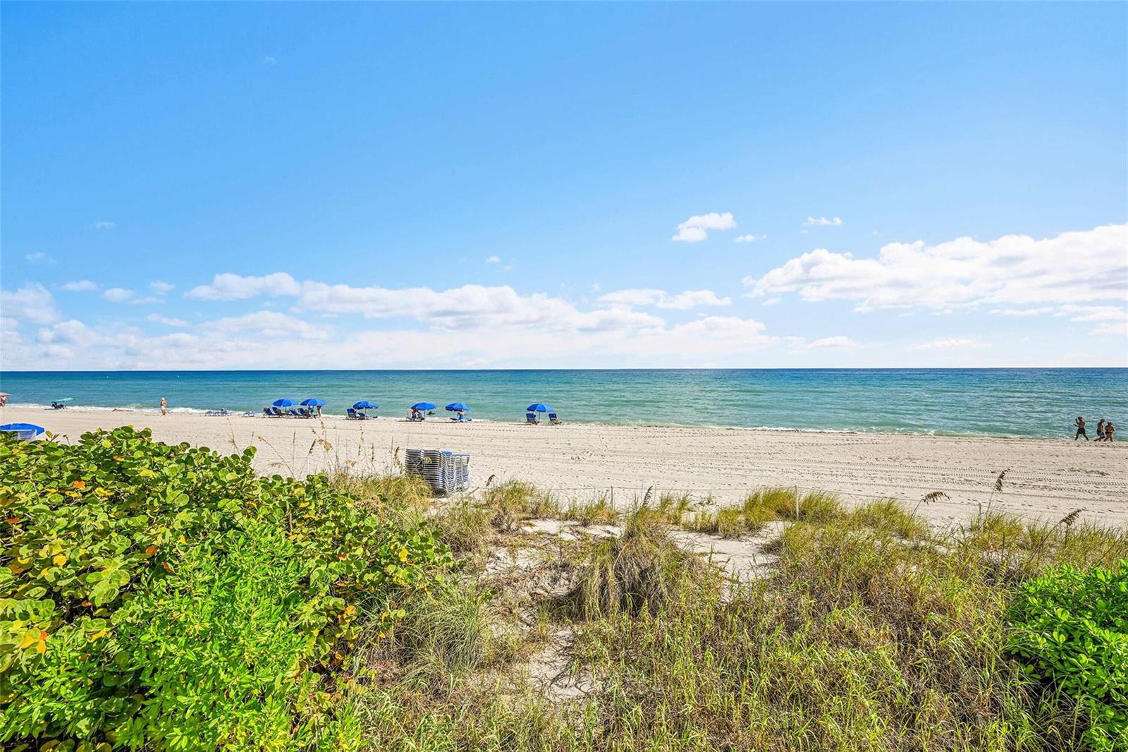 Photo of 1880 Ocean #Ts-601, Hallandale Beach, Florida, 33009 - Photo 6