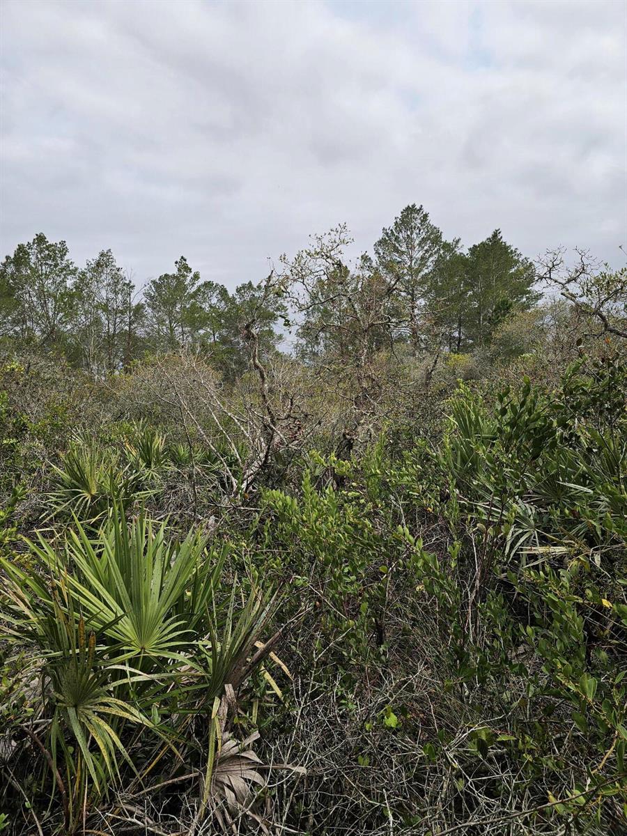 Ver detalles / 0 sq. ft. $ 2026-06-15 0 foto