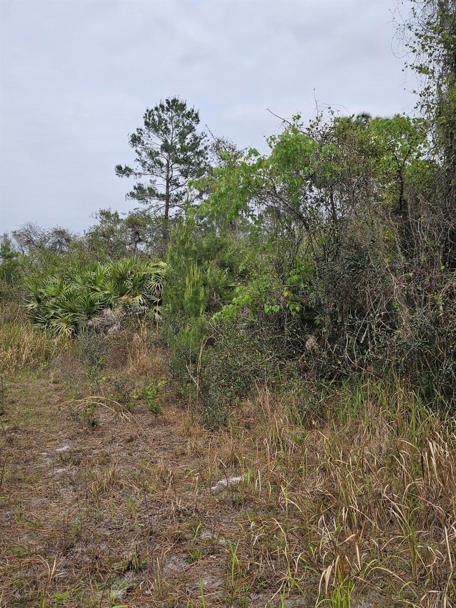 Ver detalles / 0 sq. ft. $ 2026-06-15 0 foto