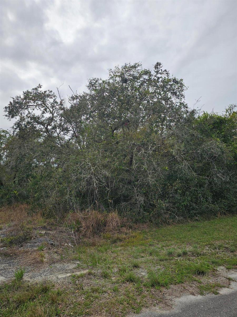 Ver detalles / 0 sq. ft. $ 2026-06-15 0 foto