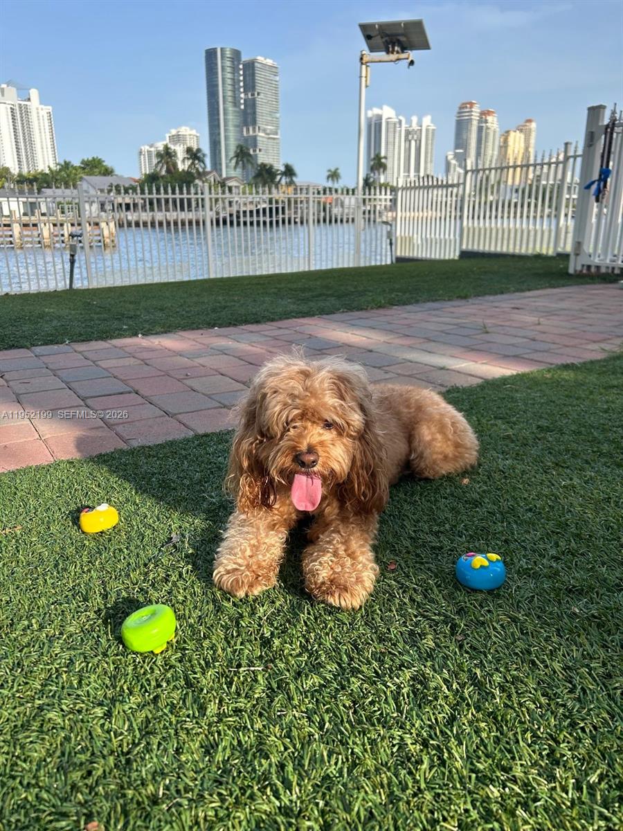 Photo of 3500 Mystic Pointe Dr  #2908, Aventura, Florida, 33180 - Dog park available on site