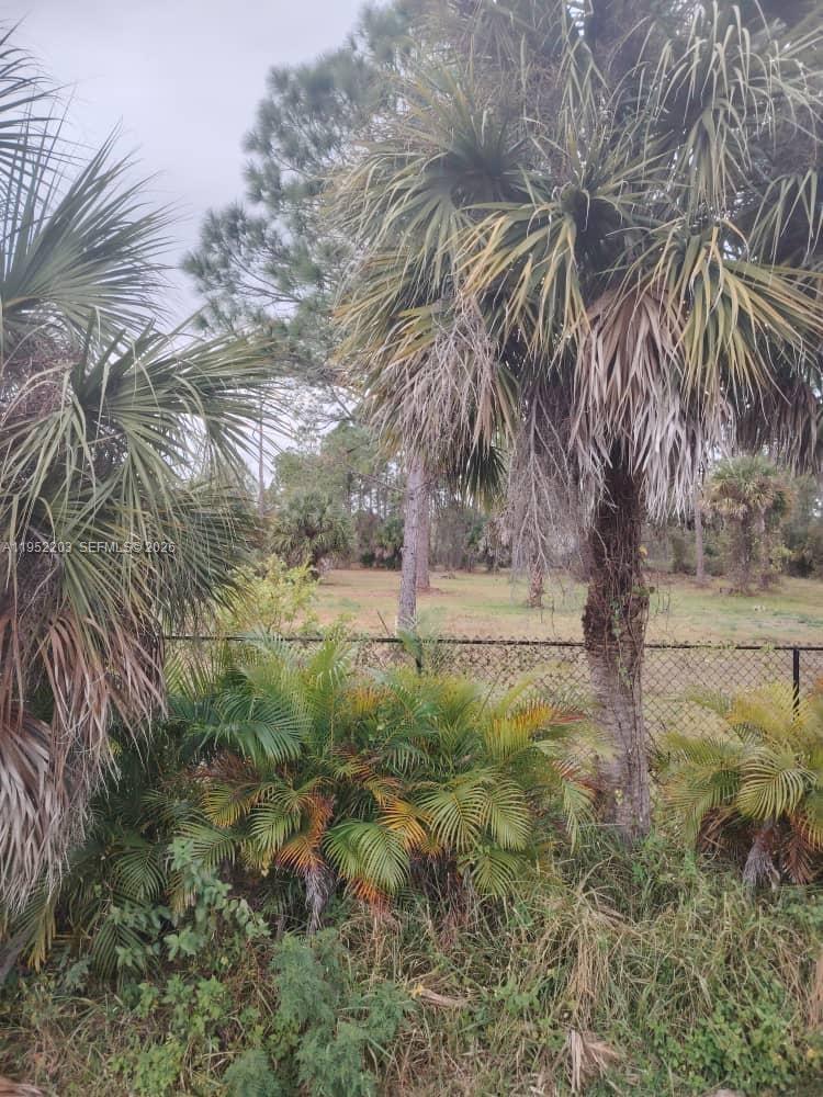 Ver detalles / sq. ft. $ 2026-01-24 0 foto