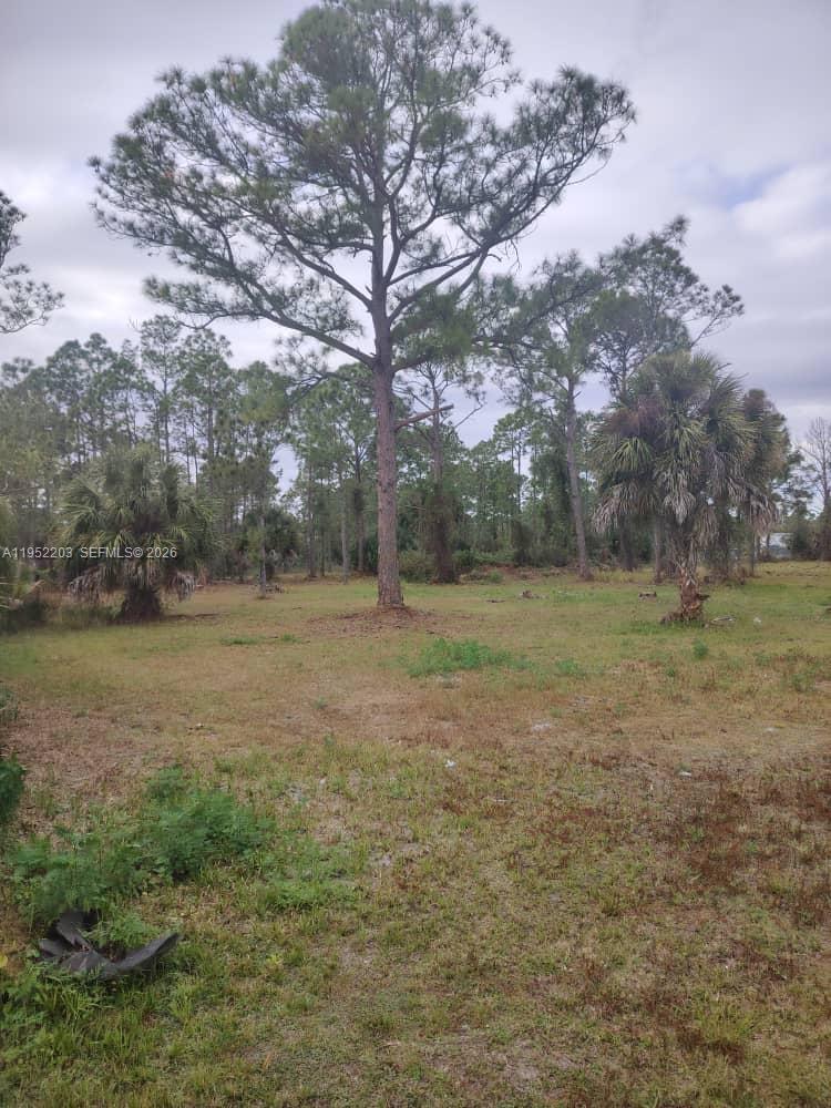 Ver detalles / sq. ft. $ 2026-01-24 0 foto