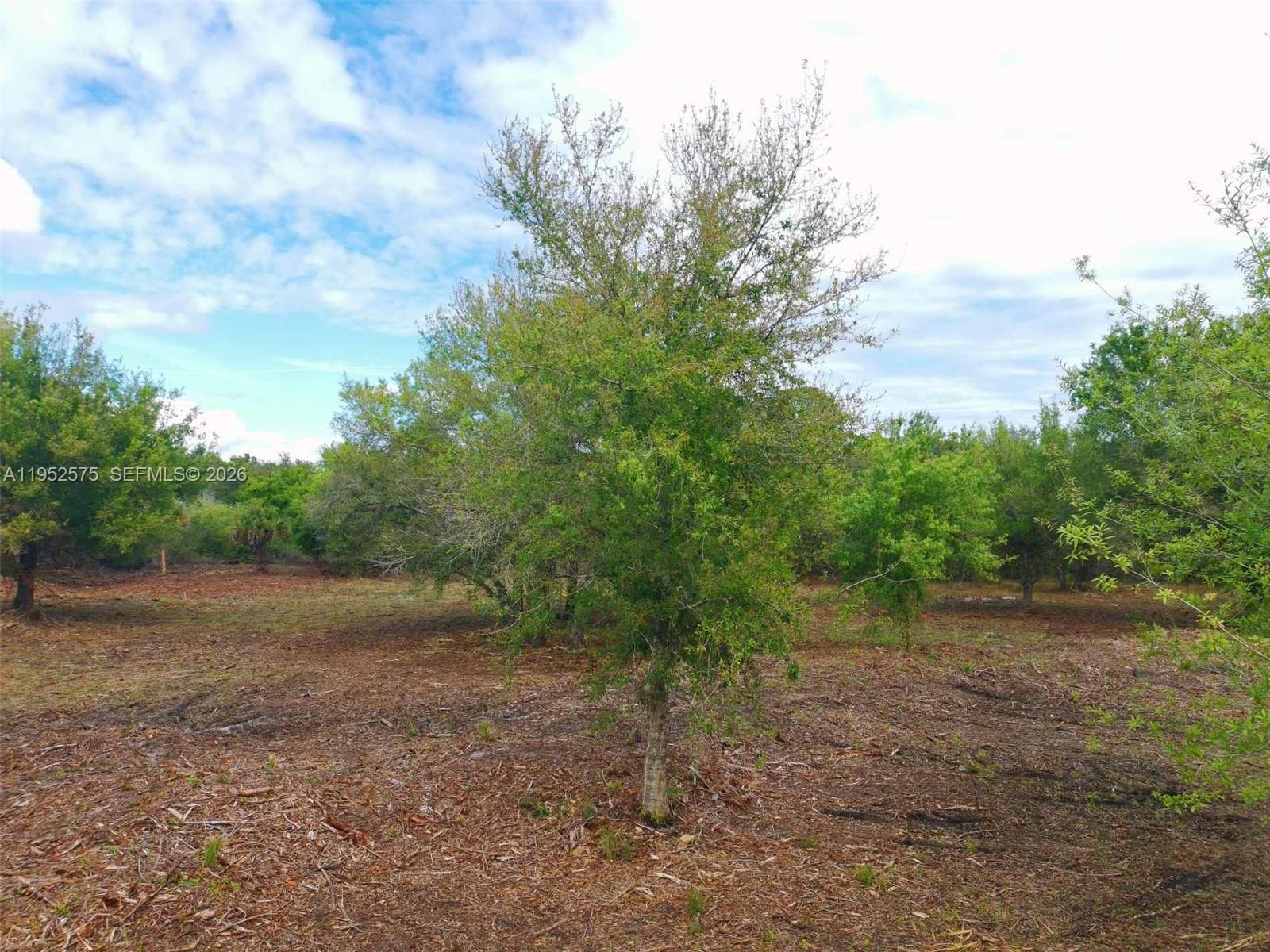 Ver detalles / sq. ft. $ 2026-01-26 0 foto