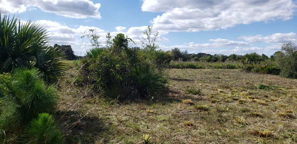 Ver detalles / 0 sq. ft. $ 2026-06-15 0 foto