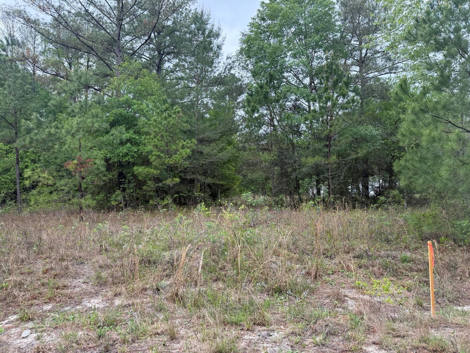 See details / 0 sq. ft. $ 2026-06-19 0 Photo