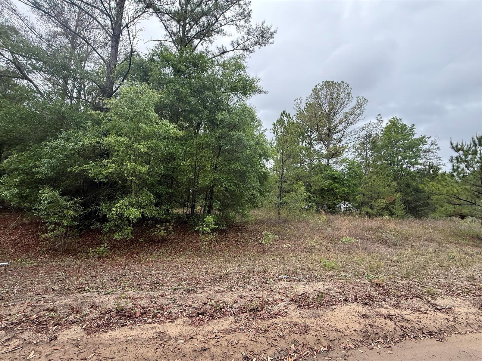 See details / 0 sq. ft. $ 2026-06-19 0 Photo