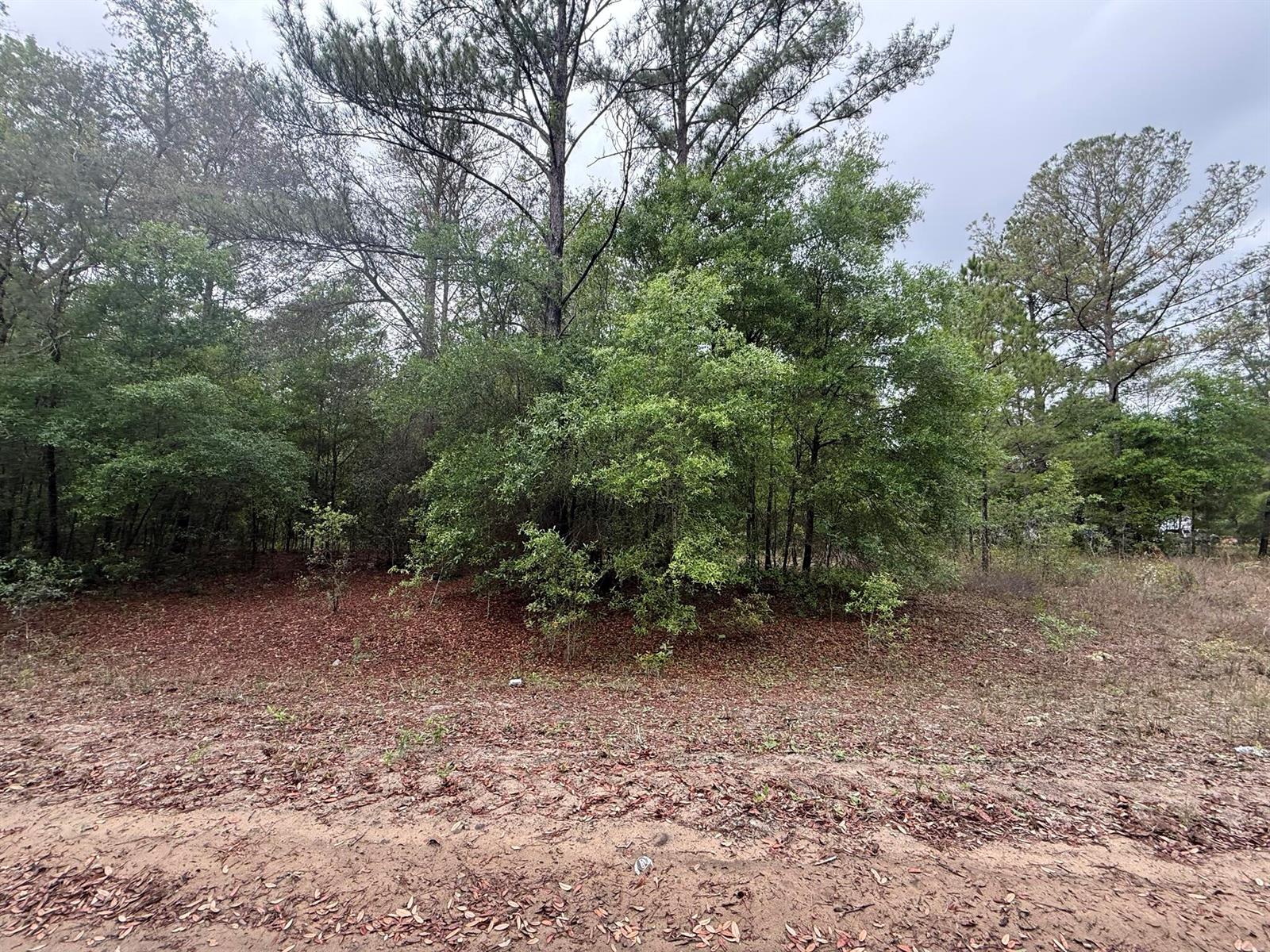 See details / 0 sq. ft. $ 2026-06-19 0 Photo