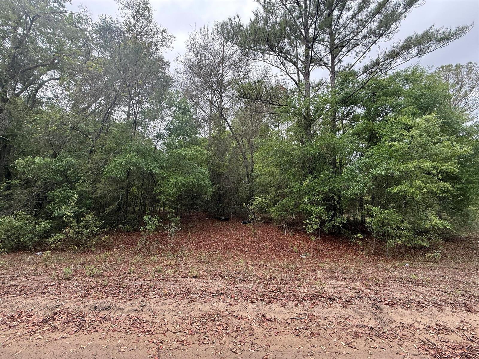 See details / 0 sq. ft. $ 2026-06-19 0 Photo