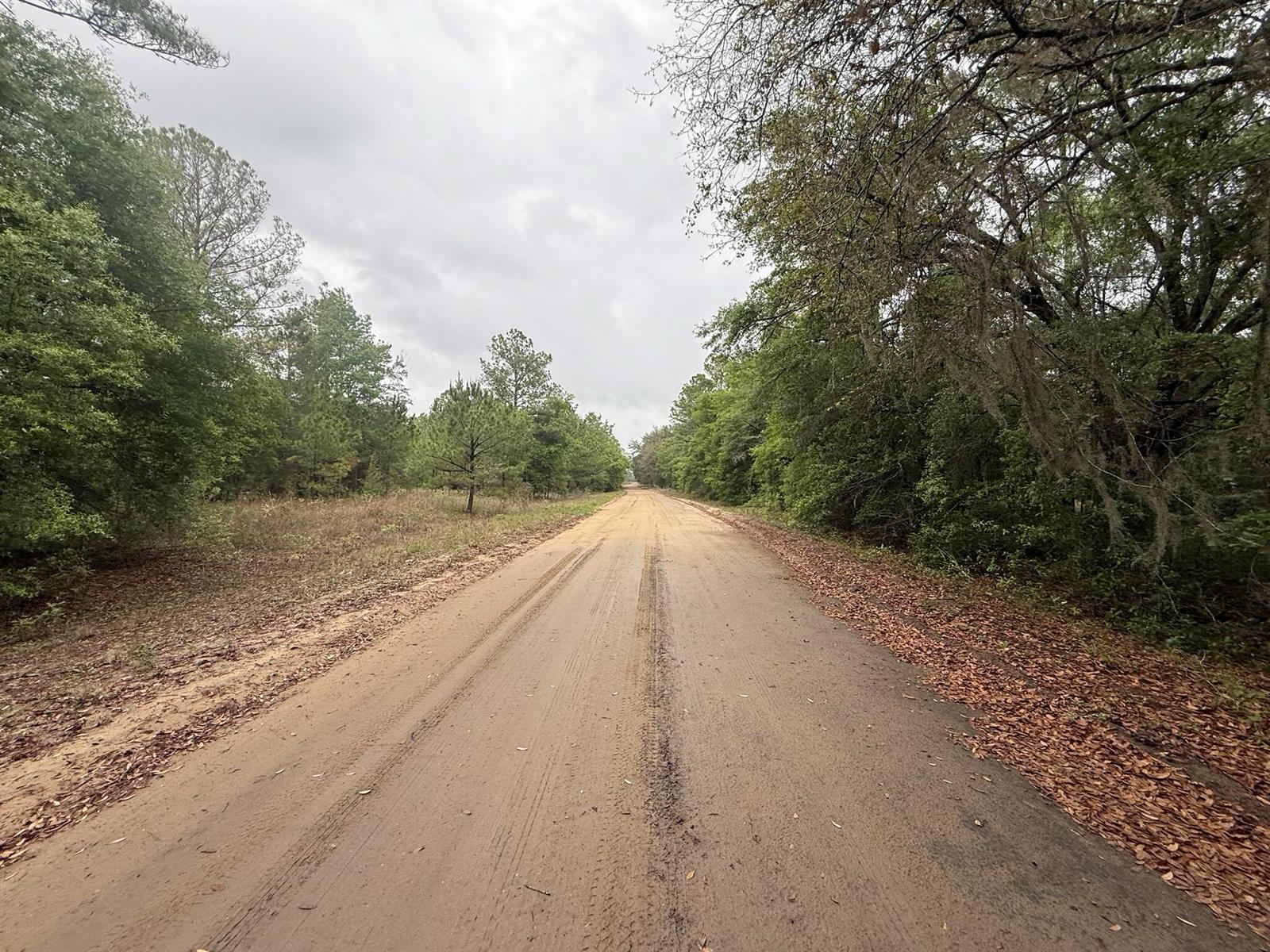 See details / 0 sq. ft. $ 2026-06-19 0 Photo