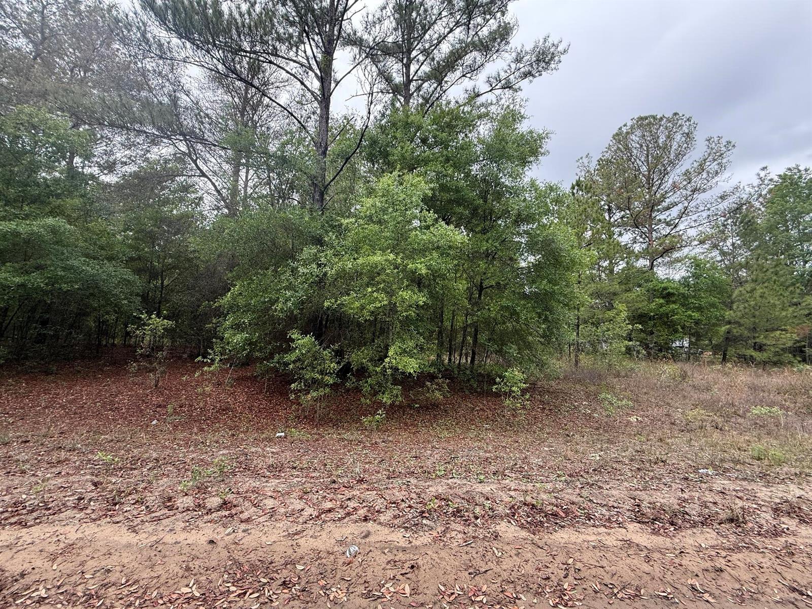 See details / 0 sq. ft. $ 2026-06-19 0 Photo