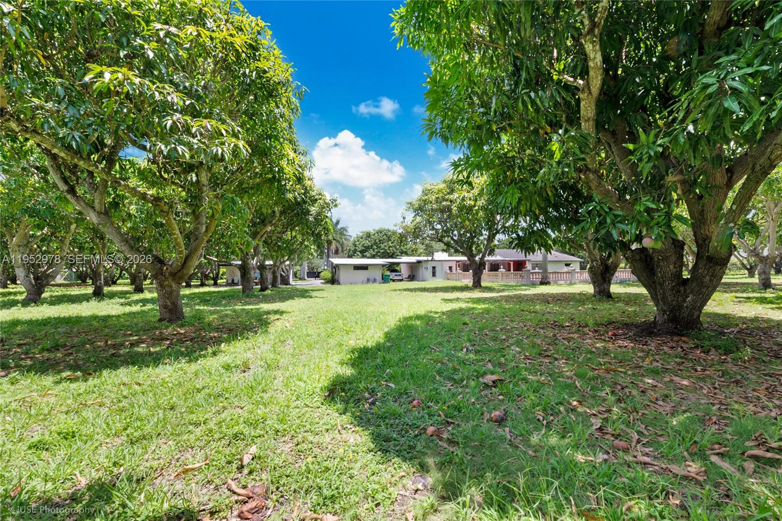 Подробнее / кв.футов $ 2026-01-26 0 Фото