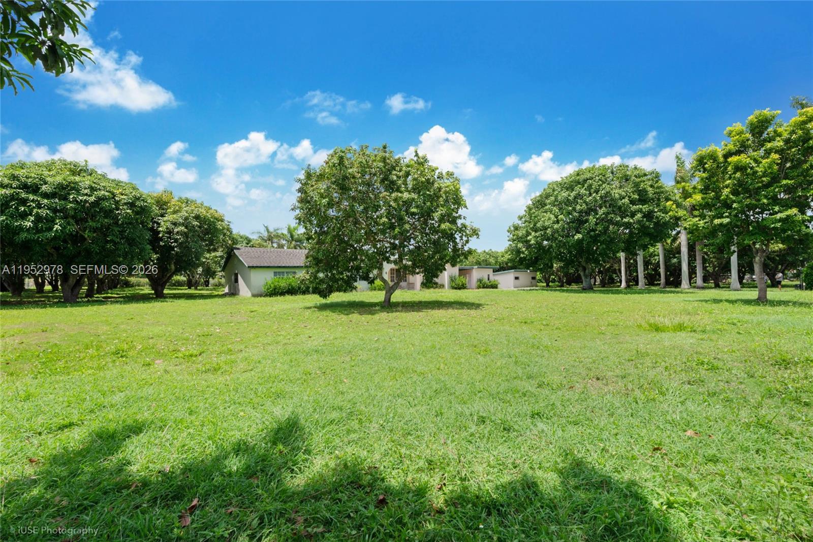 Подробнее / кв.футов $ 2026-01-26 0 Фото