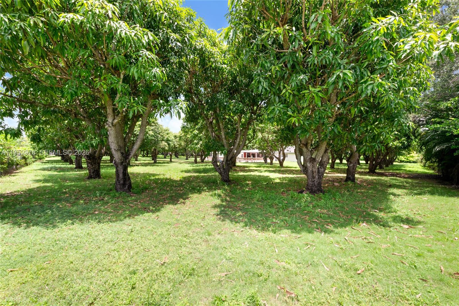 Подробнее / кв.футов $ 2026-01-26 0 Фото