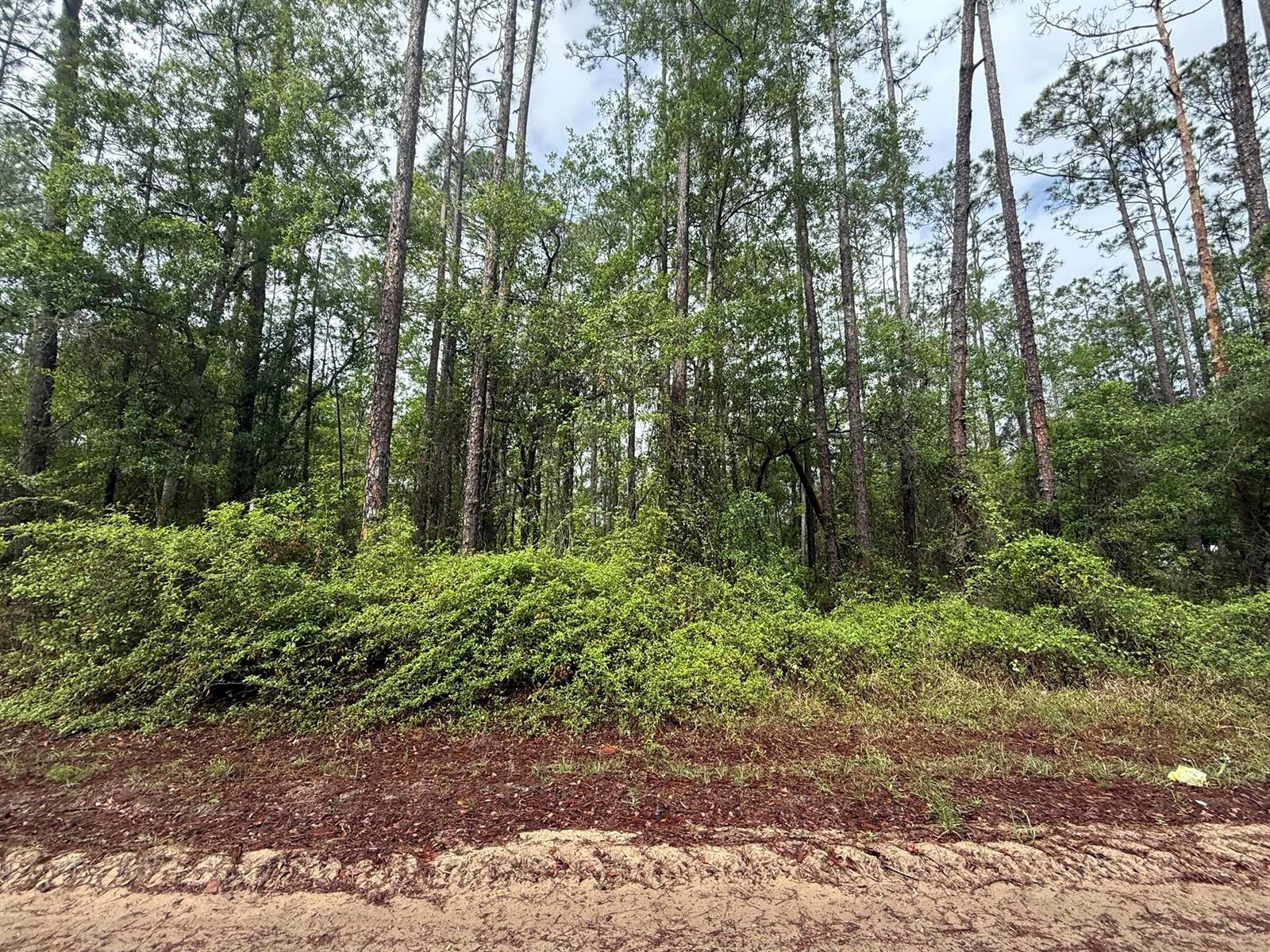 See details / 0 sq. ft. $ 2026-06-19 0 Photo