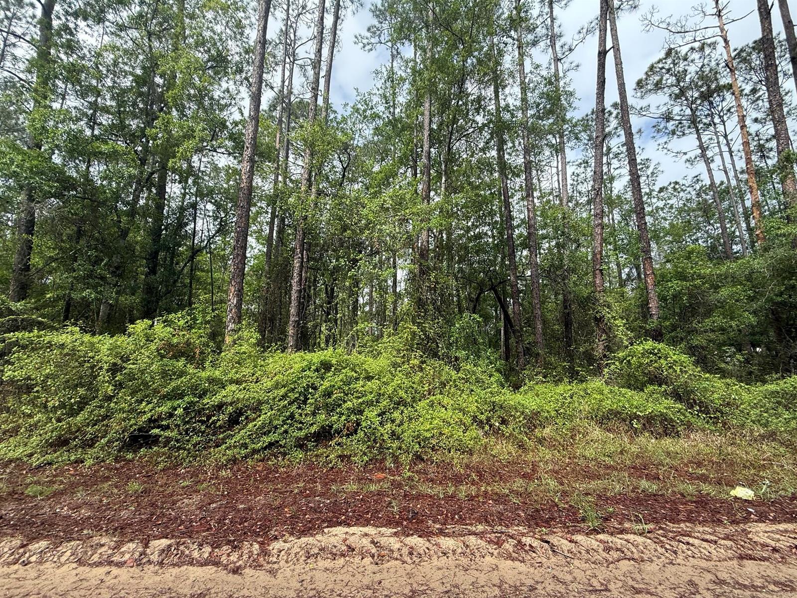 See details / 0 sq. ft. $ 2026-06-19 0 Photo