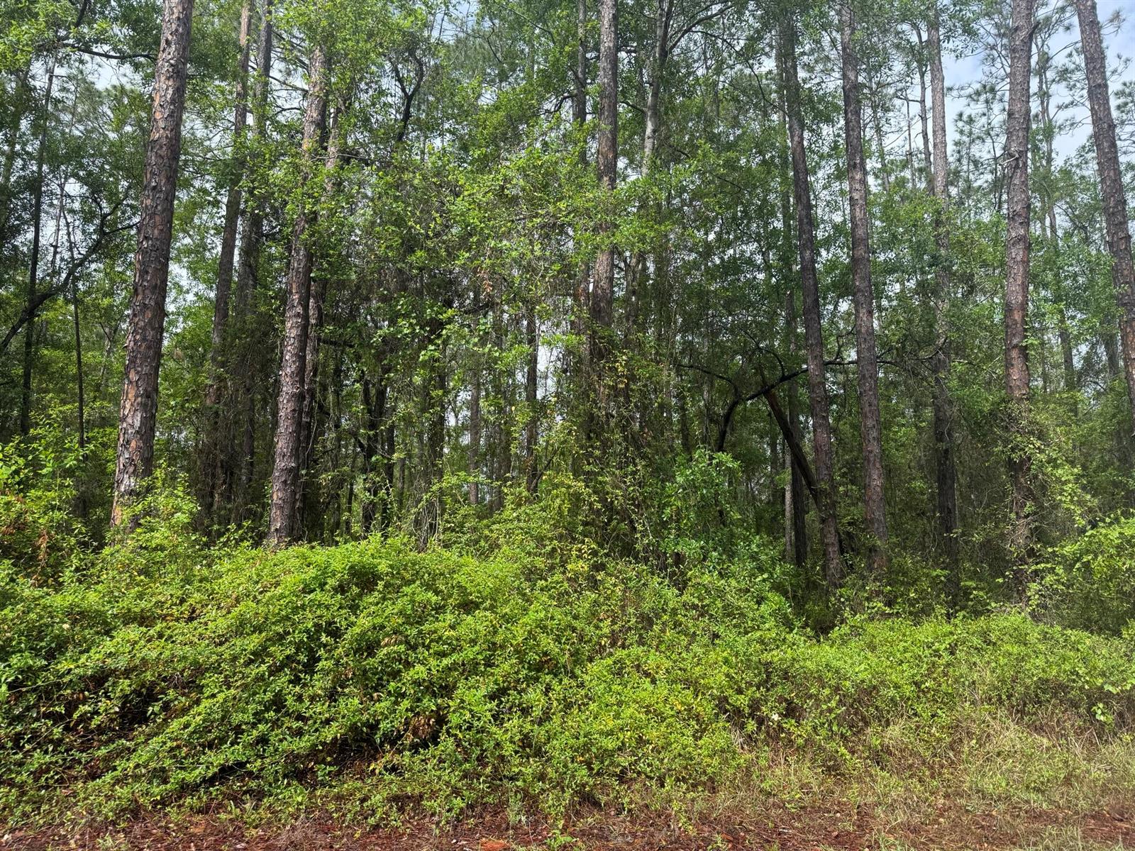 See details / 0 sq. ft. $ 2026-06-19 0 Photo
