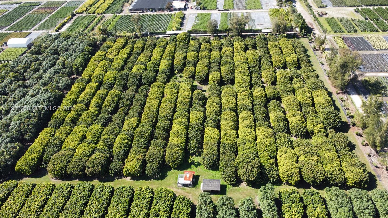 Ver detalles / sq. ft. $ 2026-01-30 0 foto