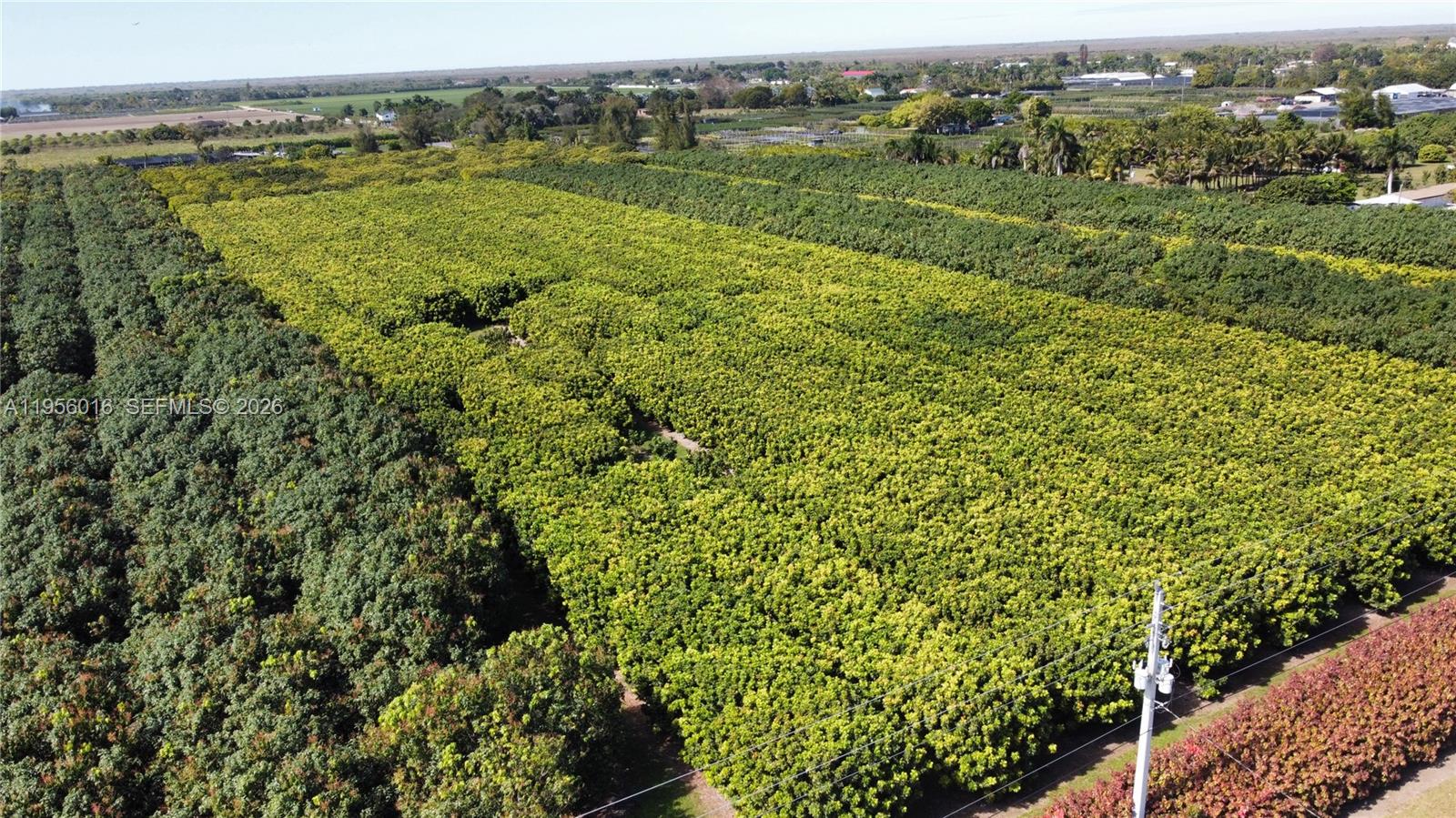 Ver detalles / sq. ft. $ 2026-01-30 0 foto