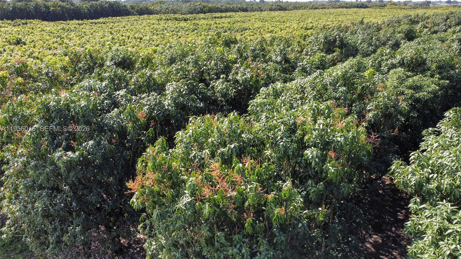 Ver detalles / sq. ft. $ 2026-01-30 0 foto