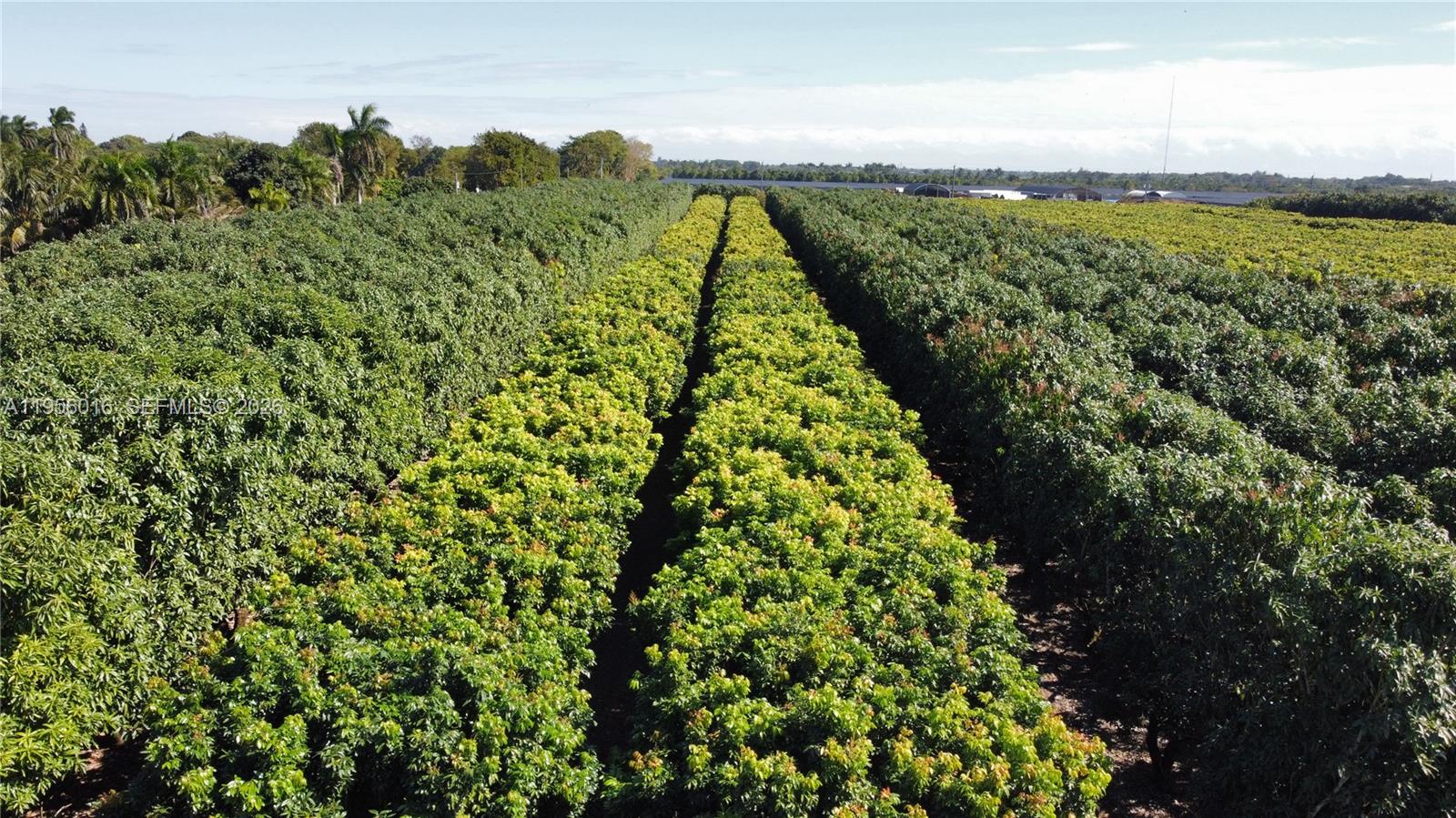 Ver detalles / sq. ft. $ 2026-01-30 0 foto