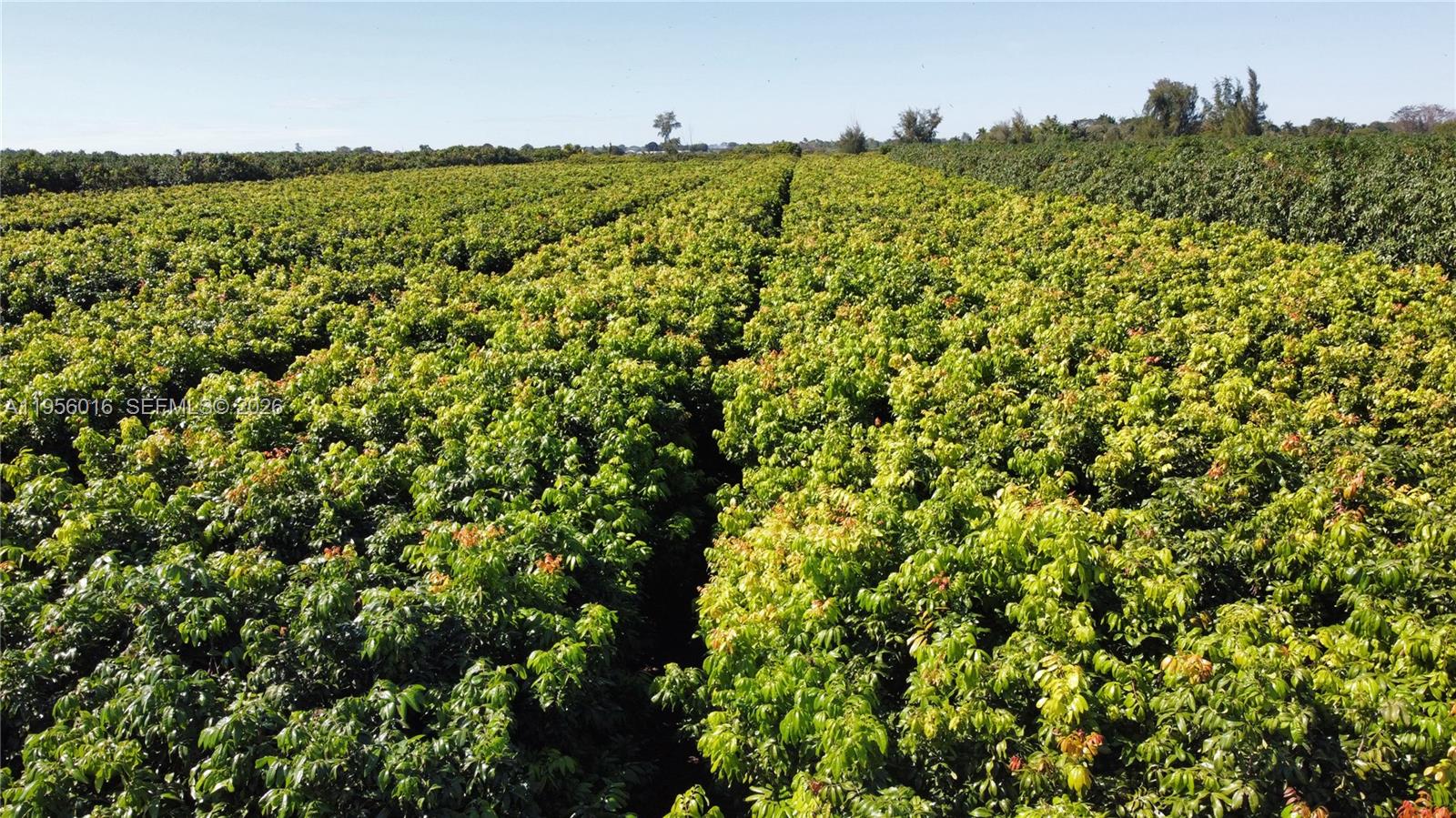 Ver detalles / sq. ft. $ 2026-01-30 0 foto