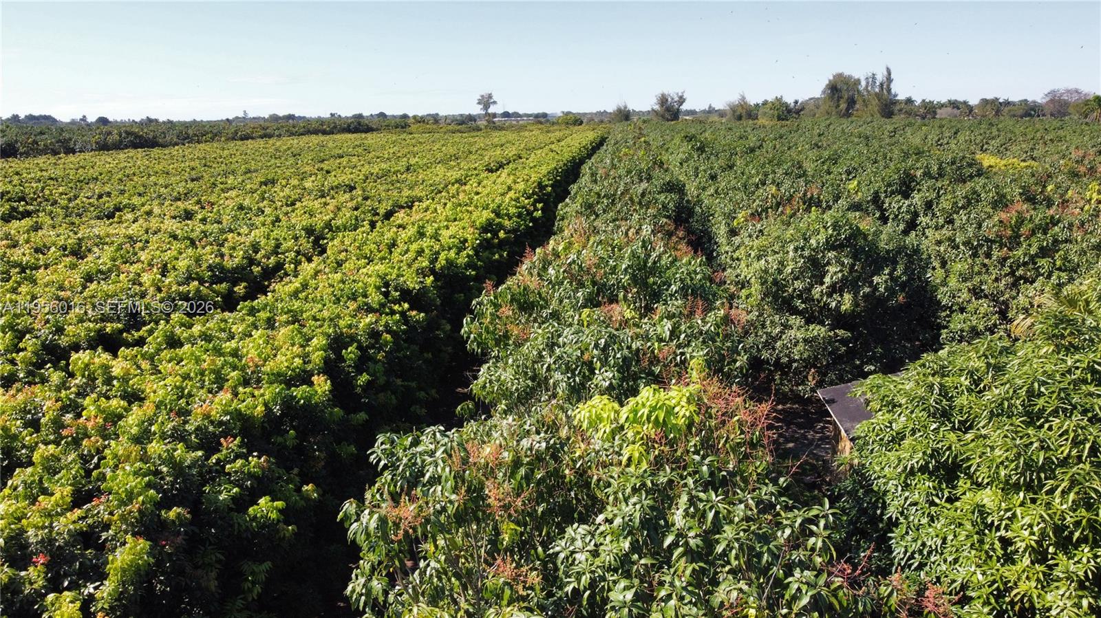 Ver detalles / sq. ft. $ 2026-01-30 0 foto