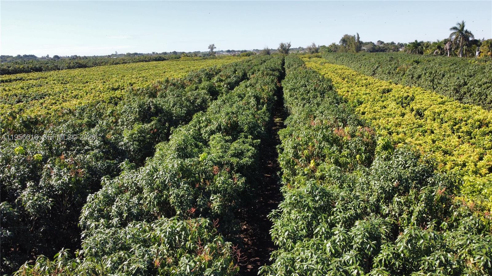 Ver detalles / sq. ft. $ 2026-01-30 0 foto