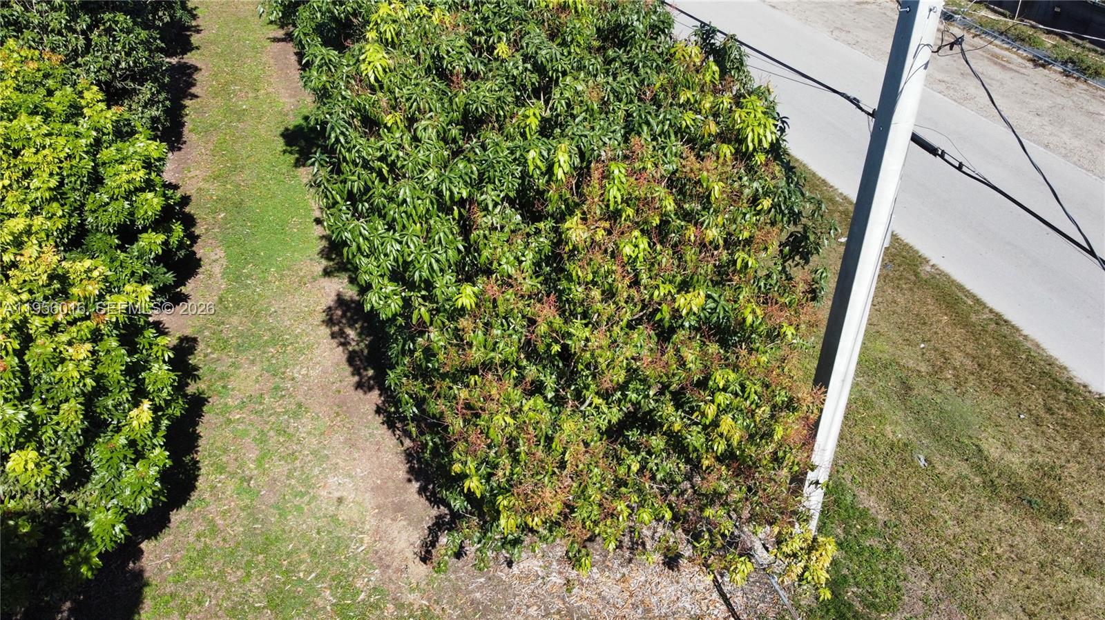 Ver detalles / sq. ft. $ 2026-01-30 0 foto