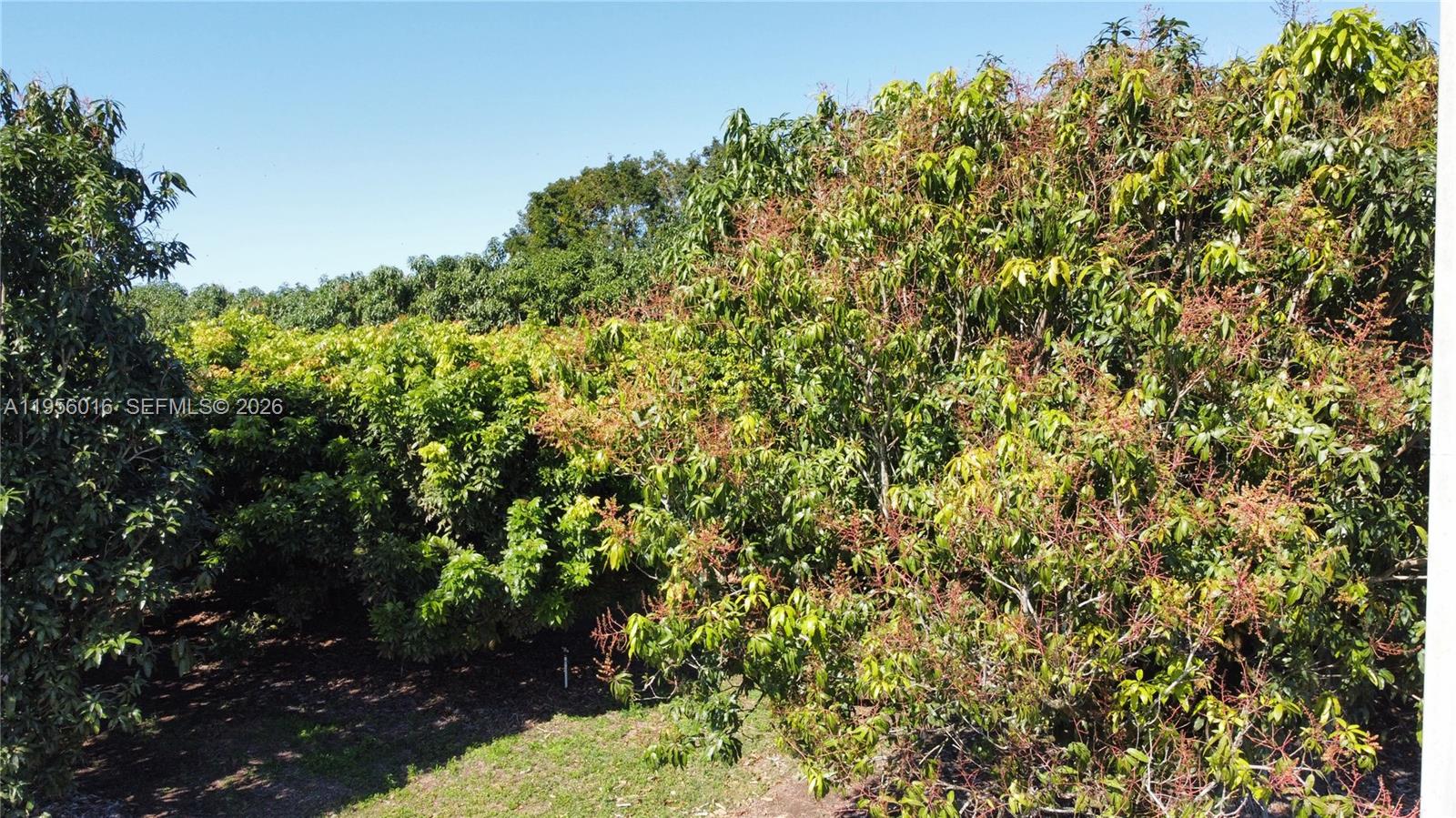 Ver detalles / sq. ft. $ 2026-01-30 0 foto